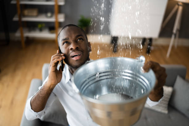 Best Residential water damage restoration  in Montrose, MN