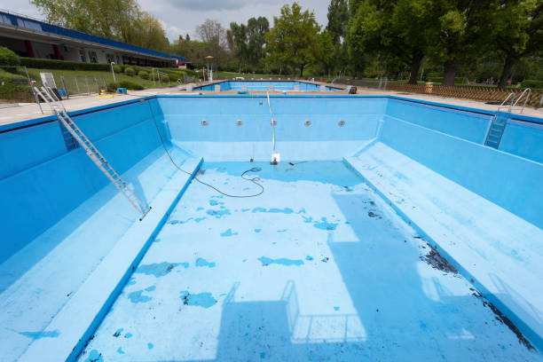 Best Professional water damage repair  in Montrose, MN