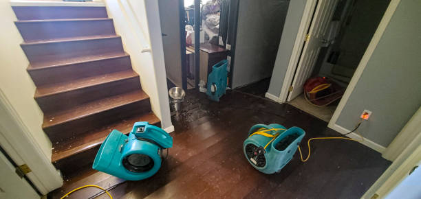 Best 24-hour water damage restoration  in Montrose, MN