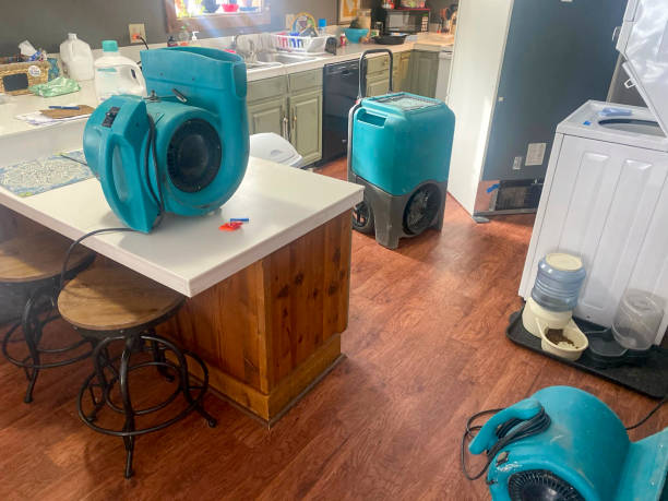 Best Local water damage restoration  in Montrose, MN