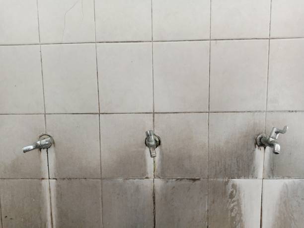  Montrose, MN Water damage restoration Pros