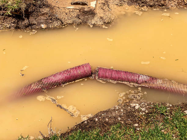 Reliable MN Water damage restoration Solutions